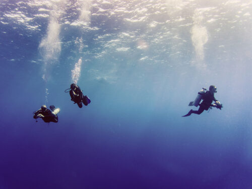 Three scuba divers use large cameras underwater