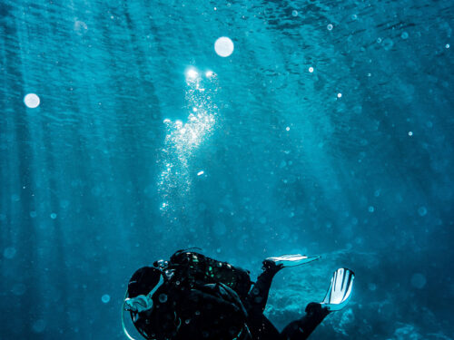 Scuba diver diving near coral with sunlight shinning through
